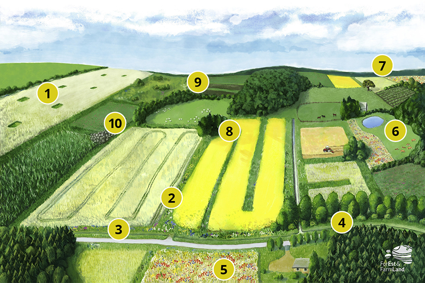 Joonis 1. Näide põllumajandusmaastikust, kus on rakendatud taastava põllumajanduse võimalusi